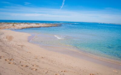 Viaggiare con bambini in Salento: guida 2025 alle spiagge, attività e trasporti