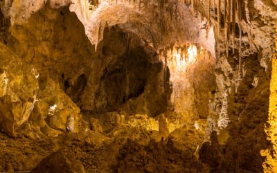 Grotte di Castellana, scopri le grotte tra le più belle e spettacolari d’Italia