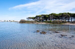 Isola Grande Porto Cesareo Giorgio Minguzzi