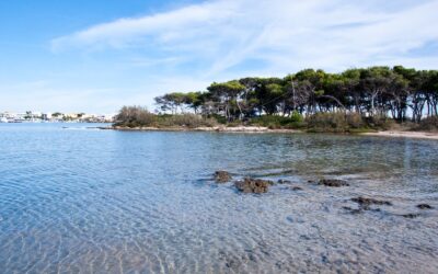 Porto Cesareo, la città, la spiaggia, le vacanze più belle