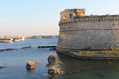 Il riccio - Arena Rivellino Gallipoli Il riccio - Arena Rivellino Gallipoli