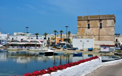 Transfer Aeroporto Brindisi per Porto Cesareo, Guida Completa